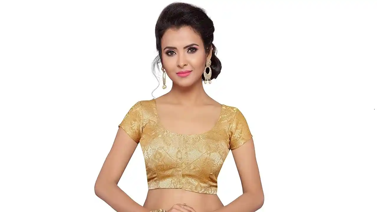 Modern Saree Blouse Designs